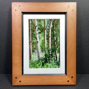 Karen Trenchard Photography ENCHANTED ASPEN Shaker Wood Frame Signed COA
